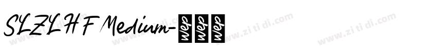 SLZLH F Medium字体转换